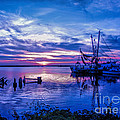 Blue Sunset