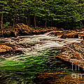 Green Water 